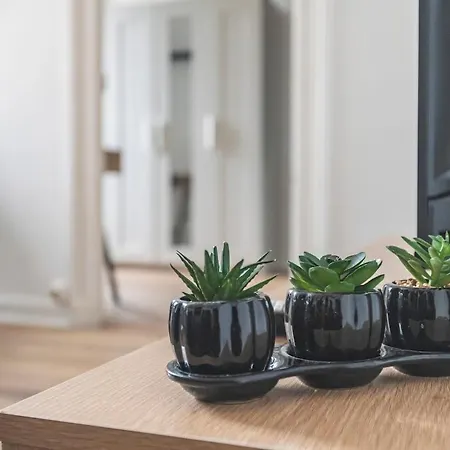 Le Chativesle - Center - Cathedral Reims