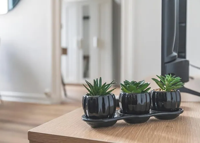 Le Chativesle - Center - Cathedral Reims